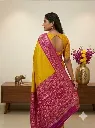 saree_3_pose_4.webp
